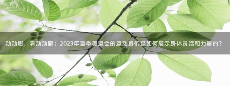 三亿体育网页版：动动脚，看动动腿：2023年夏季奥运会的运动员们是如何展示身体灵活和力量的？