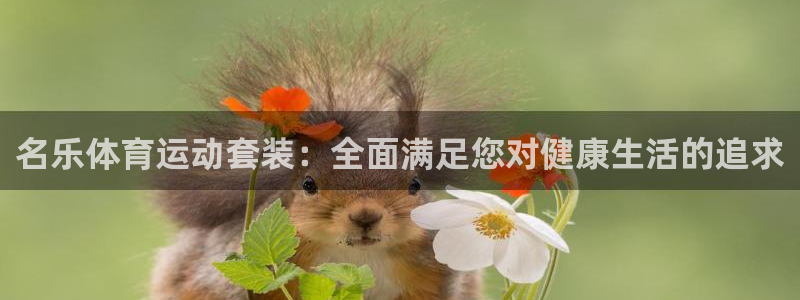 三亿体育：名乐体育运动套装：全面满足您对健康生活的追求