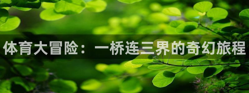 三亿体育：体育大冒险：一桥连三界的奇幻旅程