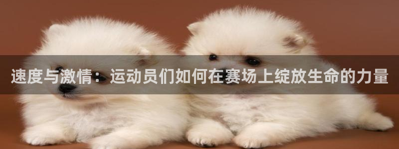 三亿体育网页版：速度与激情：运动员们如何在赛场上绽放生命的力量