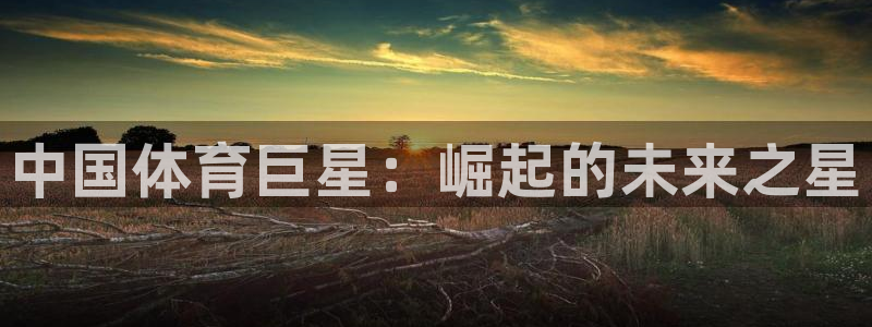三亿体育：中国体育巨星：崛起的未来之星