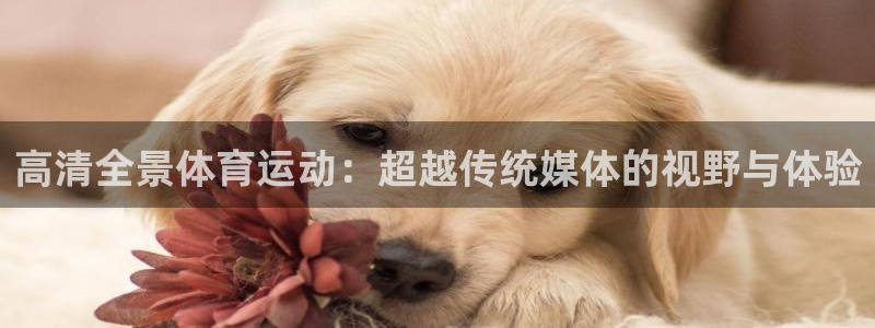 三亿体育网页版：高清全景体育运动：超越传统媒体的视野与体验
