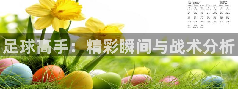 三亿体育网页版：足球高手：精彩瞬间与战术分析