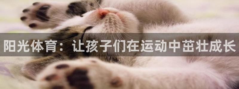 三亿体育网：阳光体育：让孩子们在运动中茁壮成长