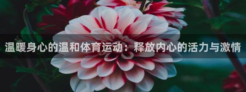 三亿体育登录：温暖身心的温和体育运动：释放内心的活力与激情