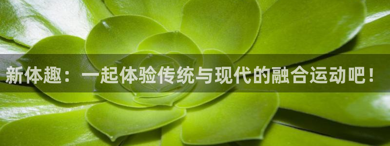 三亿体育登录