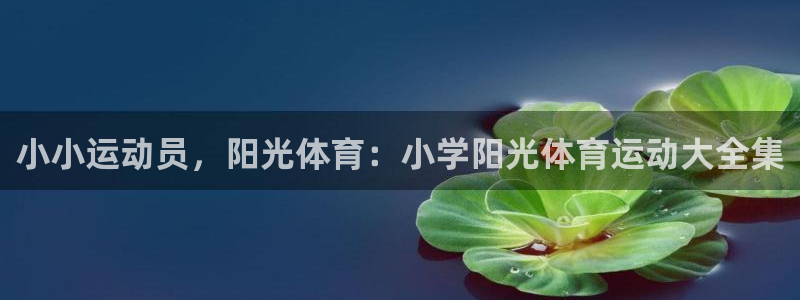 三亿体育
