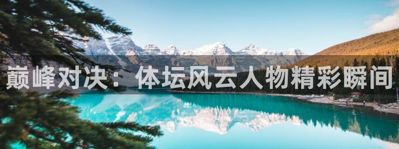 三亿体育网
