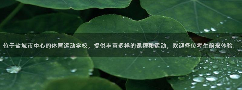 三亿体育网
