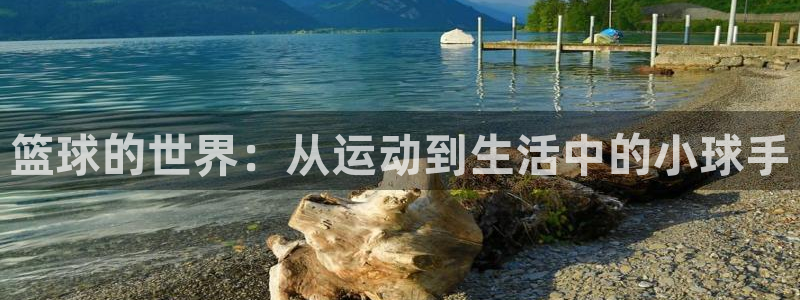 三亿体育